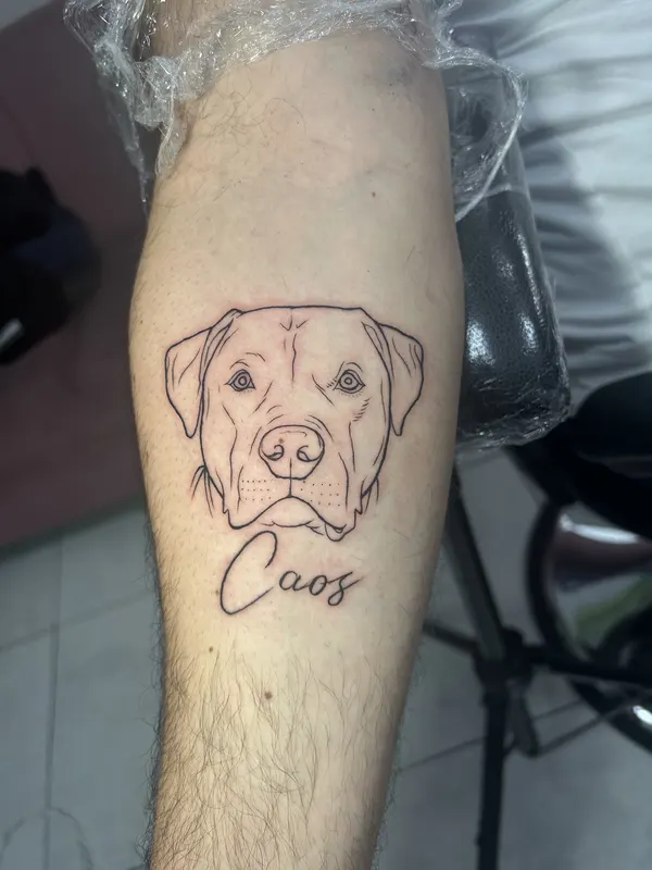 Tatuaje en línea fina del retrato de un perro con su nombre, hecho por los tatuadores de Tinta y Pinta en Quito